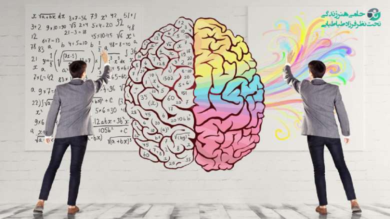 تفاوت ذهن و مغز | 5 تفاوت اساسی ذهن و مغز